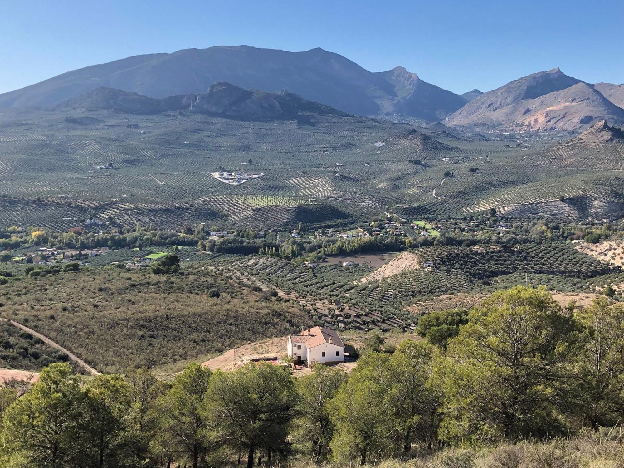 Casa Dehesa San Cristobal, * Jaén